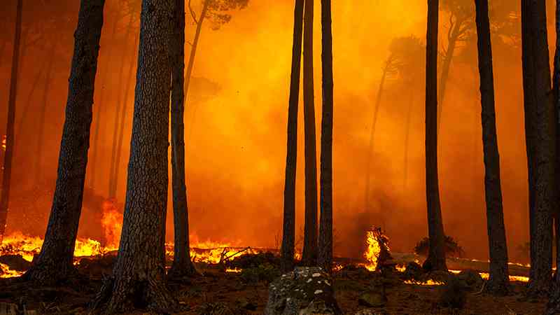 The Best Ways to Protect Your Business From Natural Disasters 