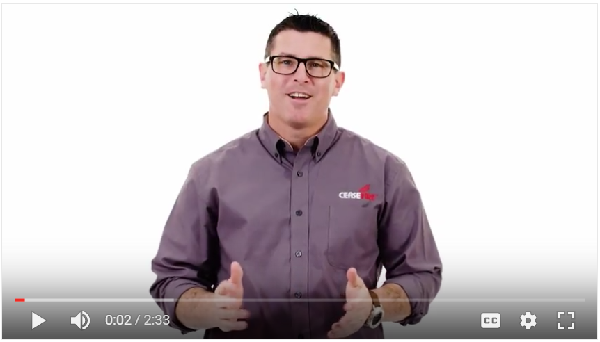 Why Cease Fire? (Spanish)