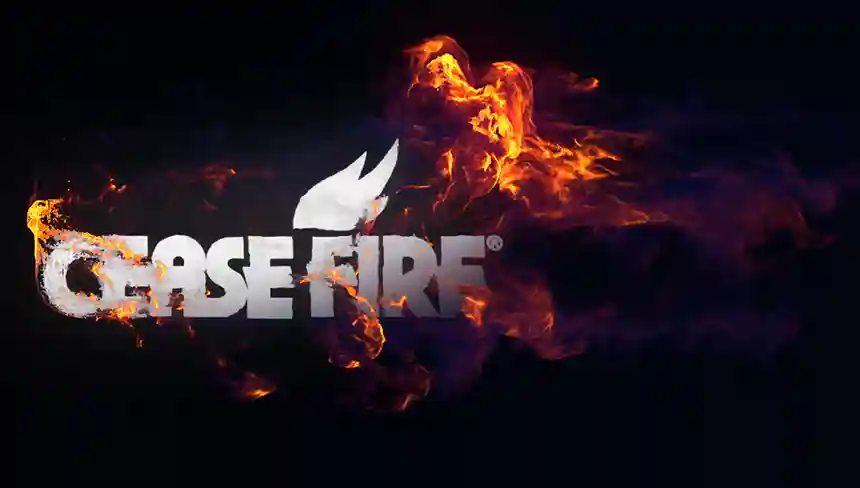 Why Cease Fire?